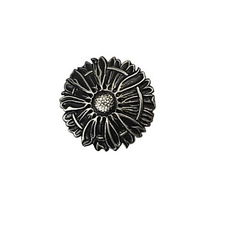 Concho sunflower