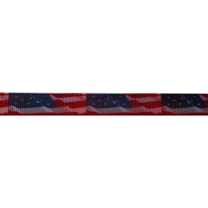 Biothane 25mm Gold Camo standard