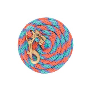 Weaver - Poly Lead Rope avec mousqueton en laiton