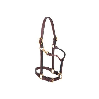 Weaver - 1" Track Halter, Canyon Rose Taille : Horse