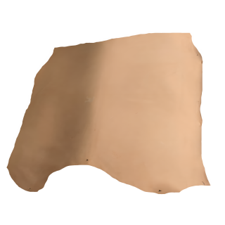 Belt croupon - Tannery run