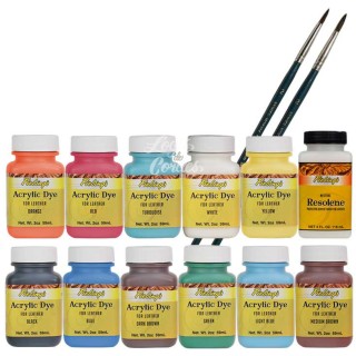 Acrylic Dye Pack 12 2Oz Mélange de Couleur/Mix Color