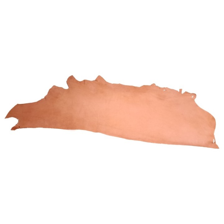 Demi peau Skirting TR2