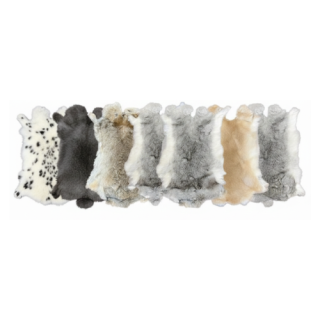 Rabbit Skin - Tannery run