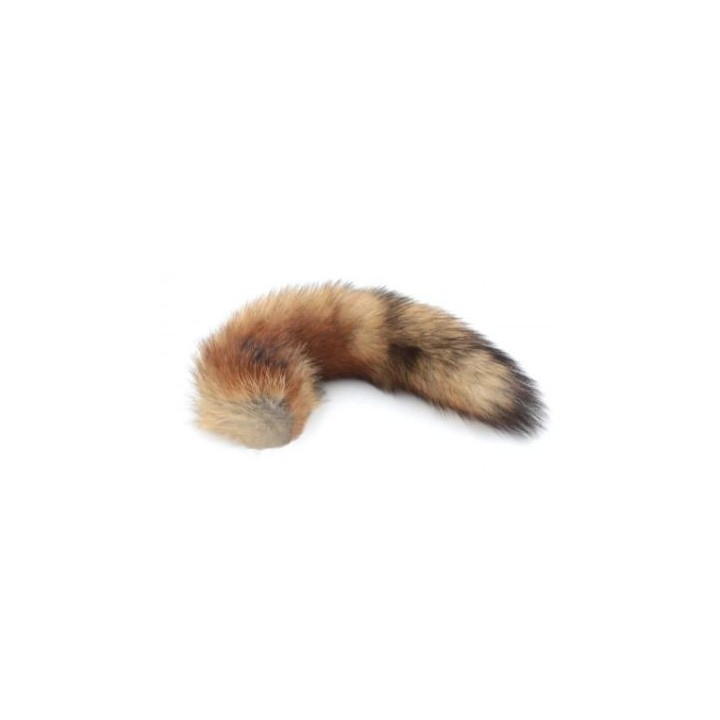 Queues de renard