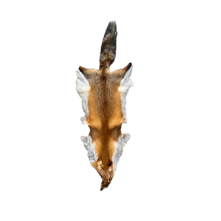Peau de renard roux - QUALITE TOUT VENANT