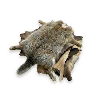 Lapin